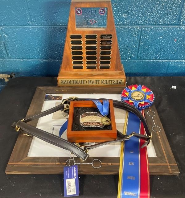 awards & ribbons on table